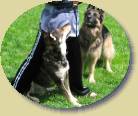 Lady und Lukas * 401 x 336 * (33KB)